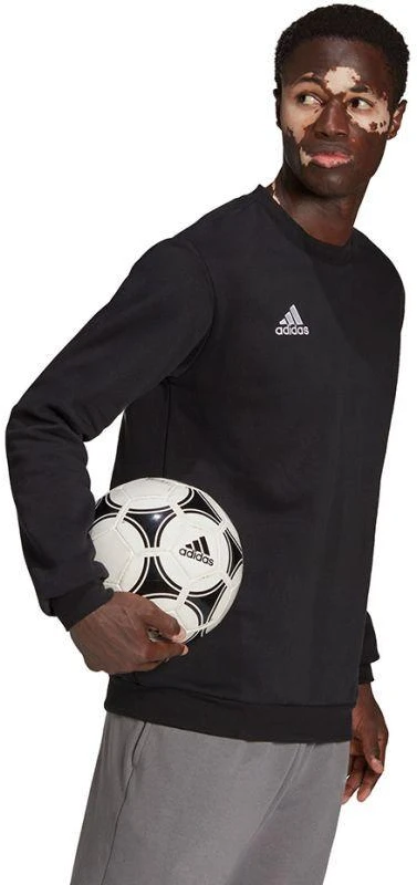 Adidas Entrada 22 Džemperis M H57478