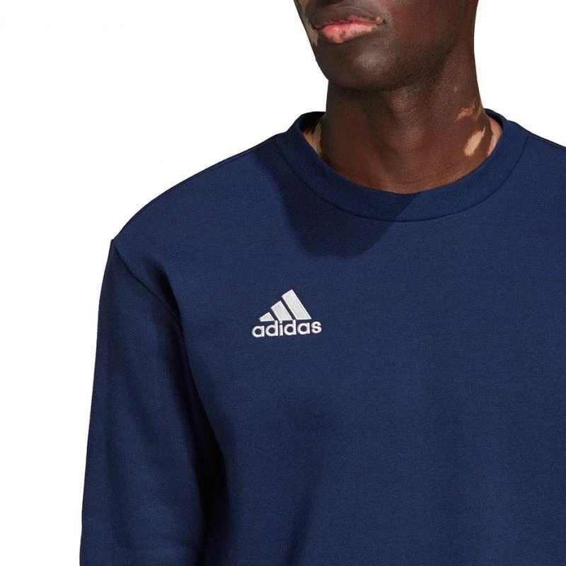 Adidas Entrada 22 Džemperis Vyrams M H57480
