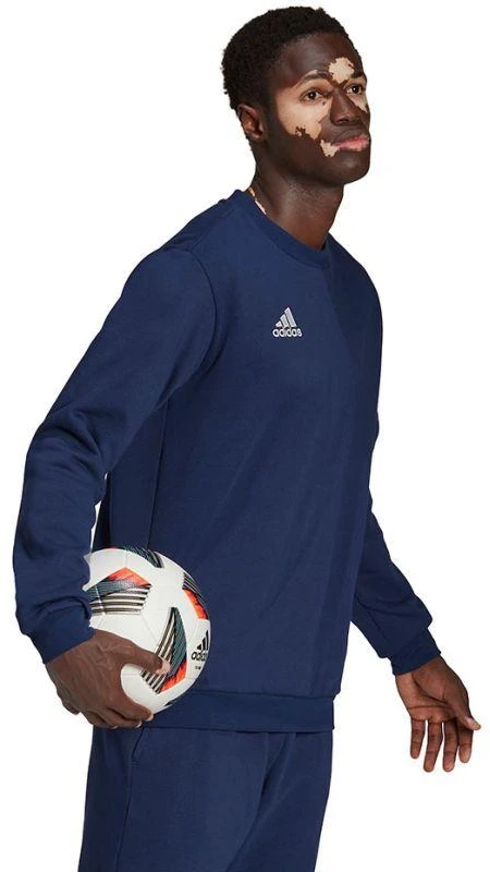 Adidas Entrada 22 Džemperis Vyrams M H57480