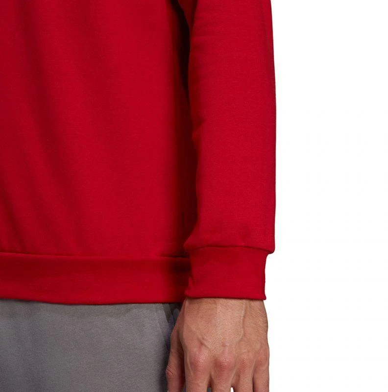 Adidas Entrada 22 Džemperis Vyrams M HB0577