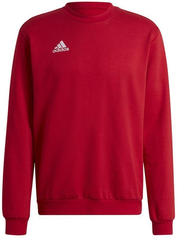 Adidas Entrada 22 Džemperis Vyrams M HB0577