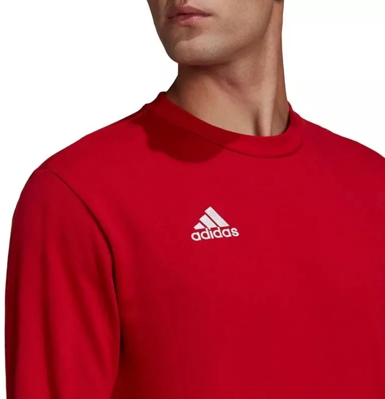 Adidas Entrada 22 Džemperis Vyrams M HB0577