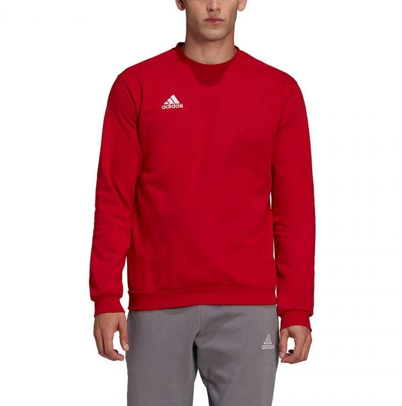 Adidas Entrada 22 Džemperis Vyrams M HB0577