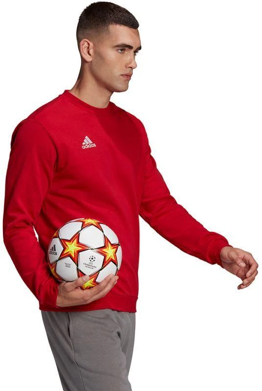 Adidas Entrada 22 Džemperis Vyrams M HB0577
