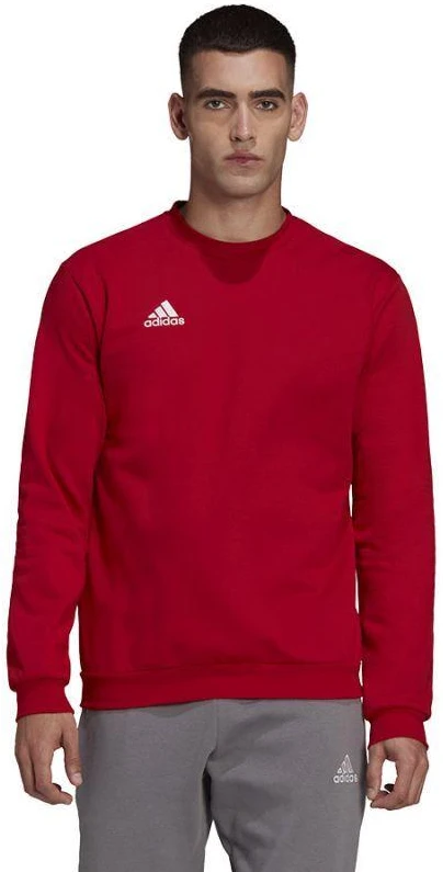 Adidas Entrada 22 Džemperis Vyrams M HB0577