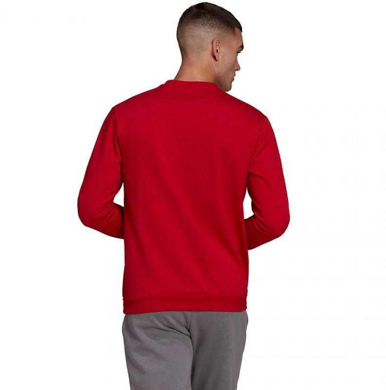 Adidas Entrada 22 Džemperis Vyrams M HB0577