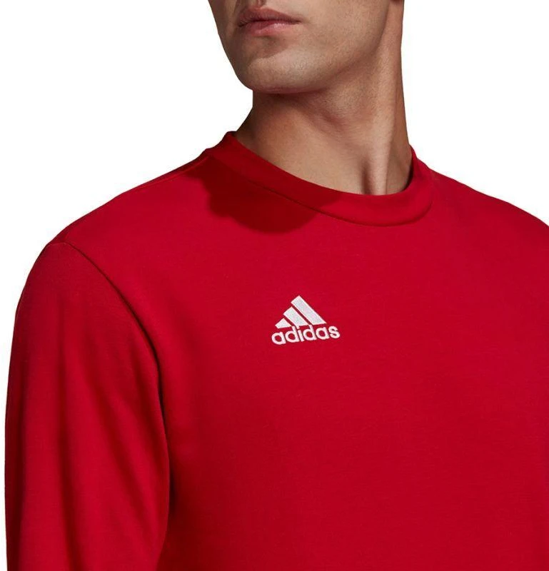 Adidas Entrada 22 Džemperis Vyrams M HB0577