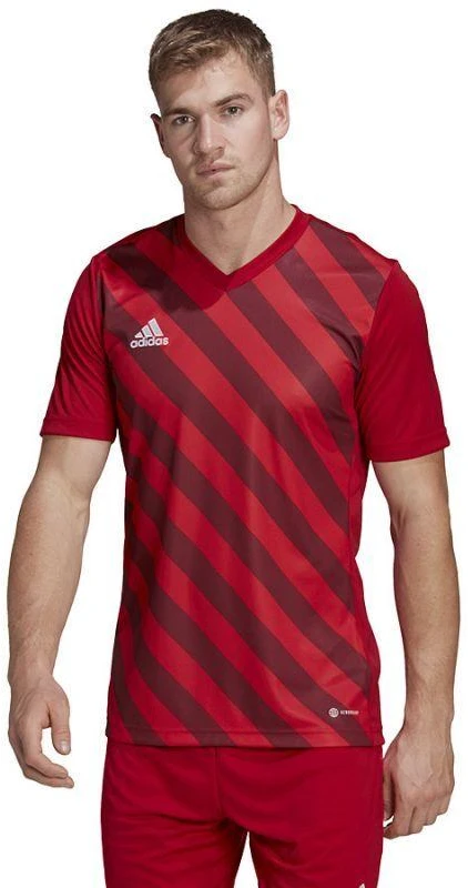 Adidas Entrada 22 grafiniai marškinėliai M HB0572