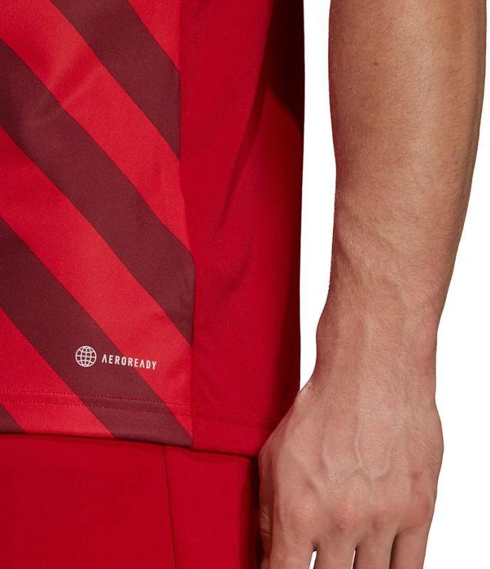 Adidas Entrada 22 grafiniai marškinėliai M HB0572