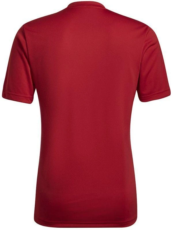 Adidas Entrada 22 grafiniai marškinėliai M HB0572