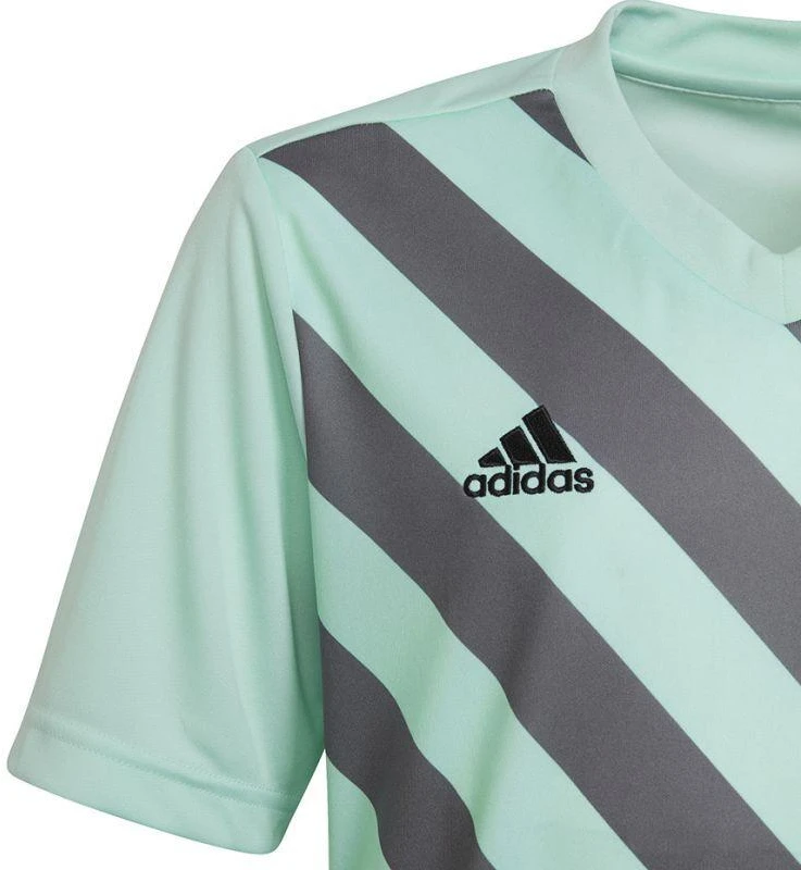 adidas Entrada 22 Grafinis Džersis Jaunesniajam HF0127