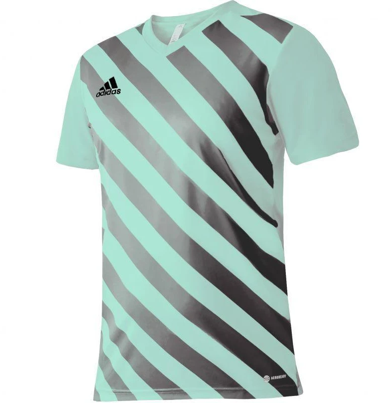 adidas Entrada 22 Grafinis Džersis Jaunesniajam HF0127