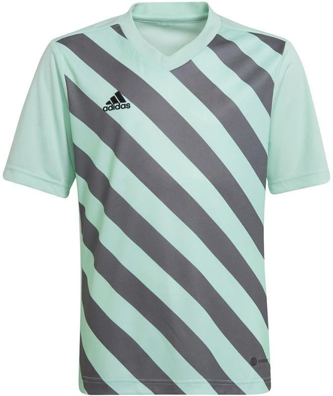 adidas Entrada 22 Grafinis Džersis Jaunesniajam HF0127