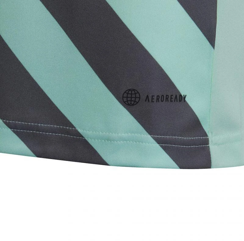adidas Entrada 22 Grafinis Džersis Jaunesniajam HF0127