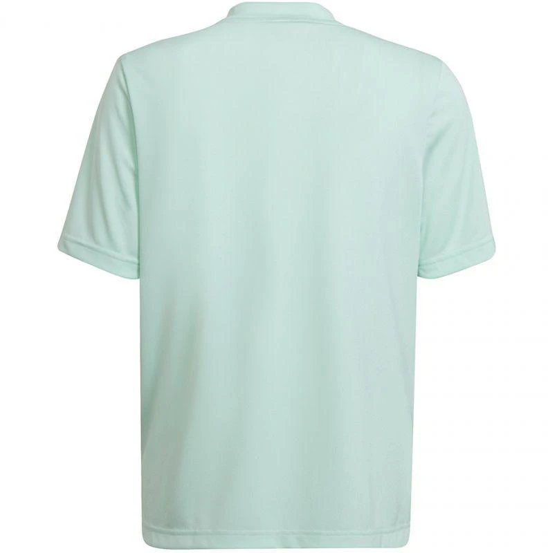 adidas Entrada 22 Grafinis Džersis Jaunesniajam HF0127
