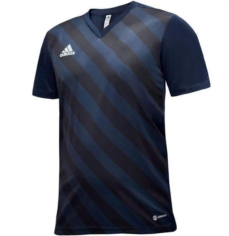 adidas Entrada 22 Grafinis Džersis Jr HF0122