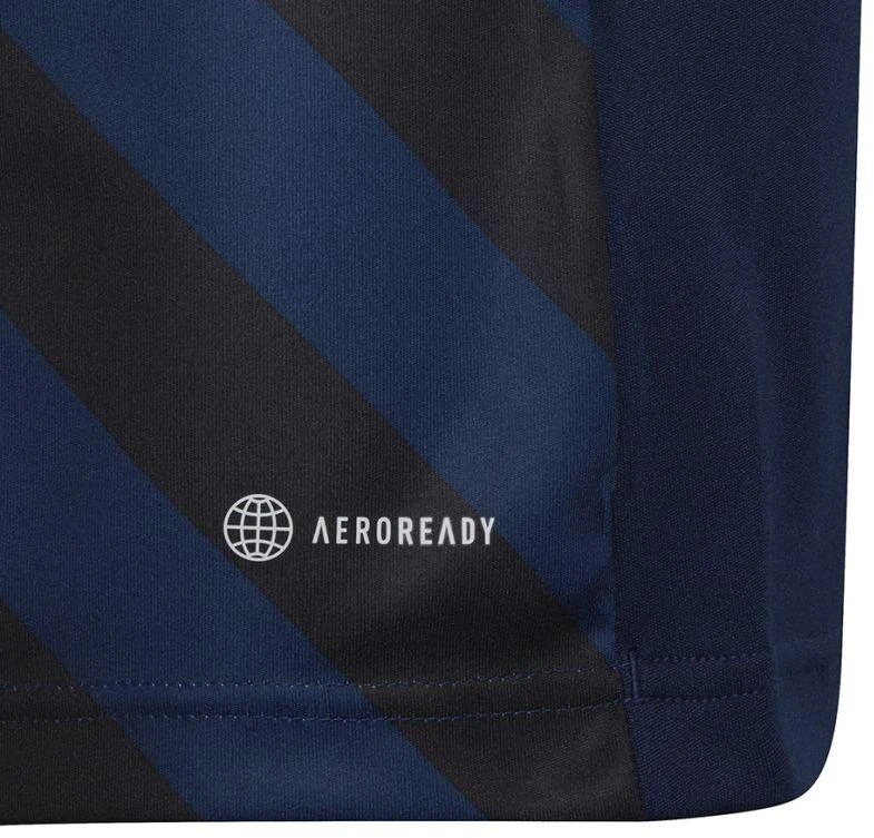 adidas Entrada 22 Grafinis Džersis Jr HF0122