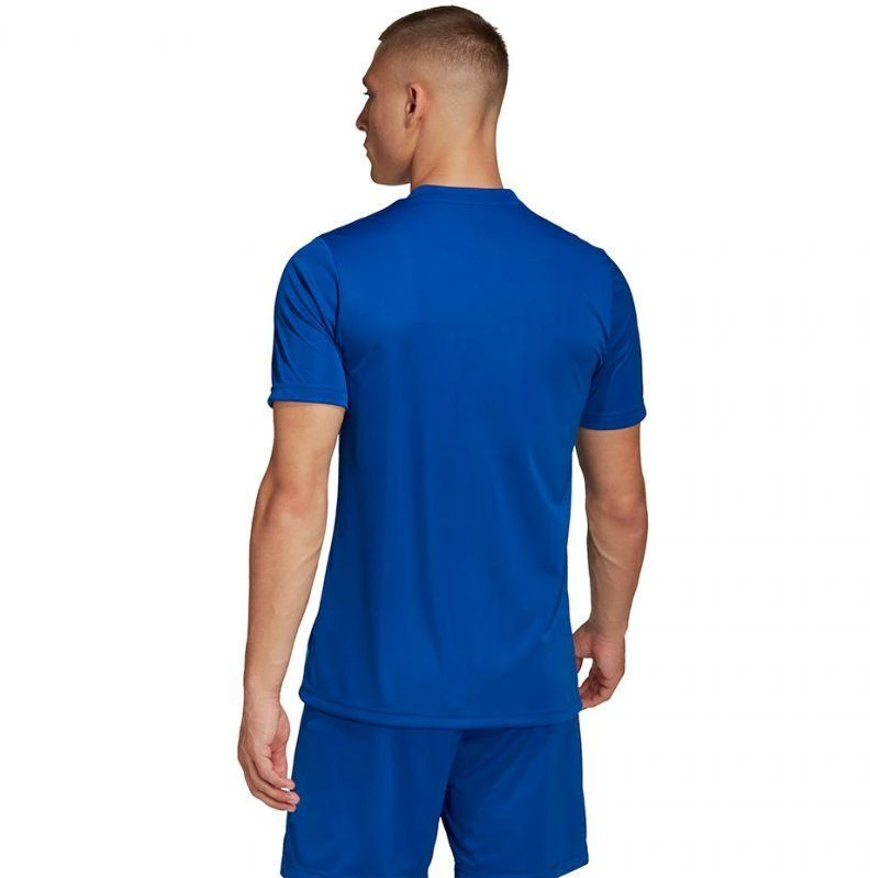 adidas Entrada 22 Grafinis Džersis M HF0116