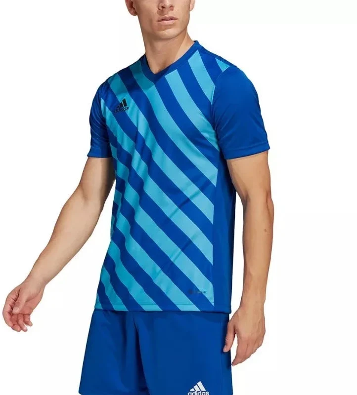 adidas Entrada 22 Grafinis Džersis M HF0116