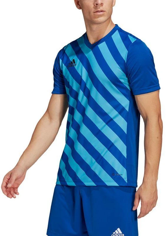 adidas Entrada 22 Grafinis Džersis M HF0116
