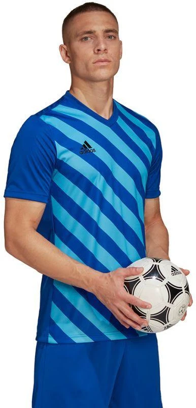 adidas Entrada 22 Grafinis Džersis M HF0116