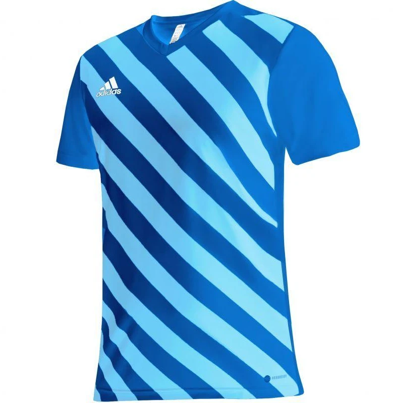 adidas Entrada 22 Grafinis Džersis M HF0116