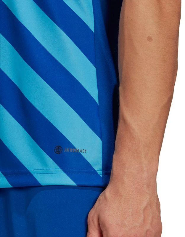 adidas Entrada 22 Grafinis Džersis M HF0116