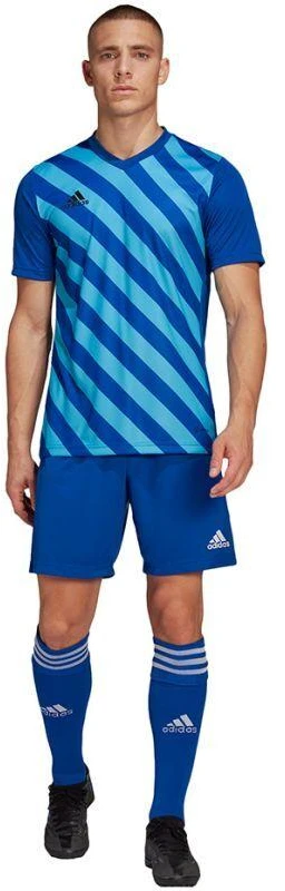 adidas Entrada 22 Grafinis Džersis M HF0116