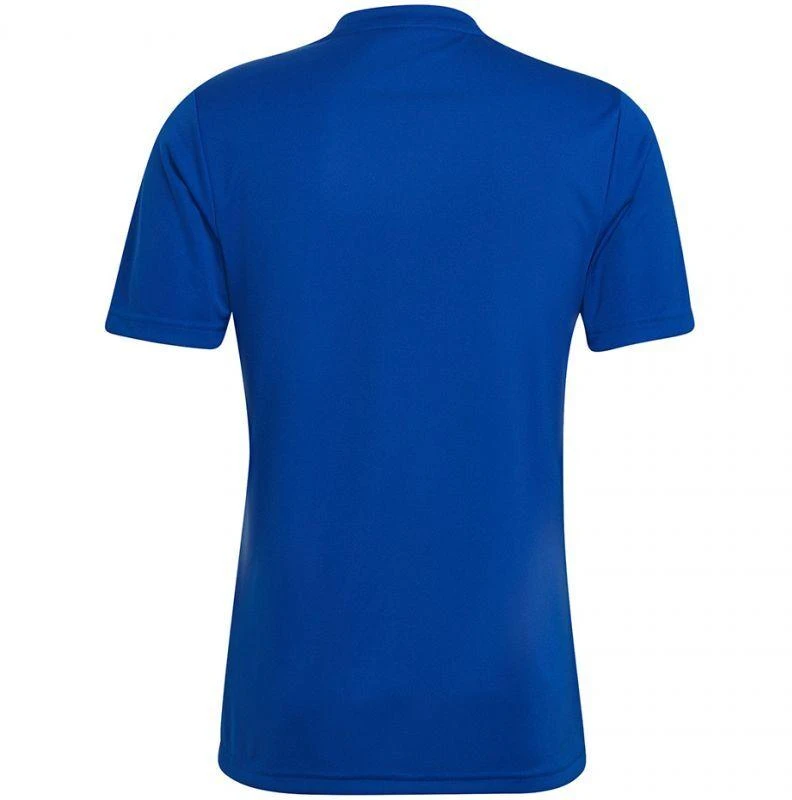 adidas Entrada 22 Grafinis Džersis M HF0116