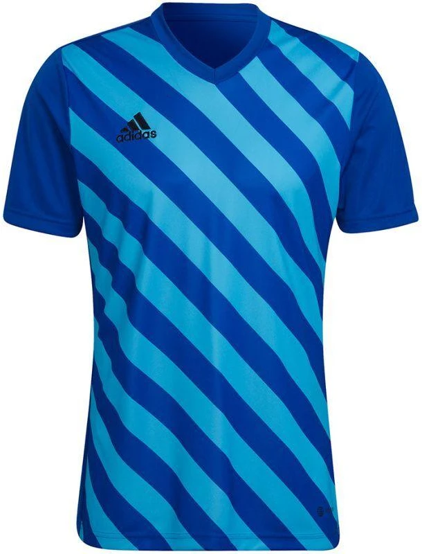 adidas Entrada 22 Grafinis Džersis M HF0116