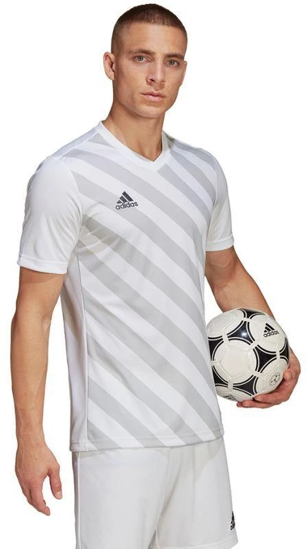 adidas Entrada 22 Grafinis Džersis M HF0129