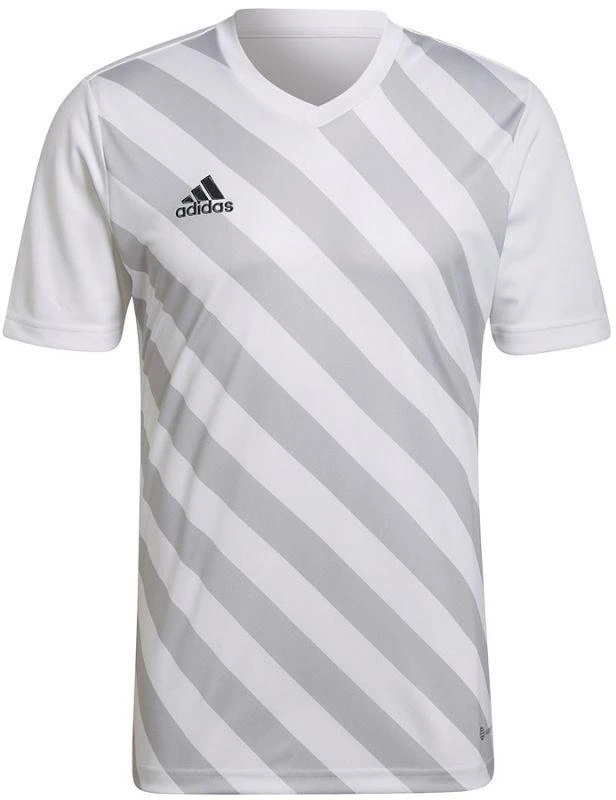 adidas Entrada 22 Grafinis Džersis M HF0129