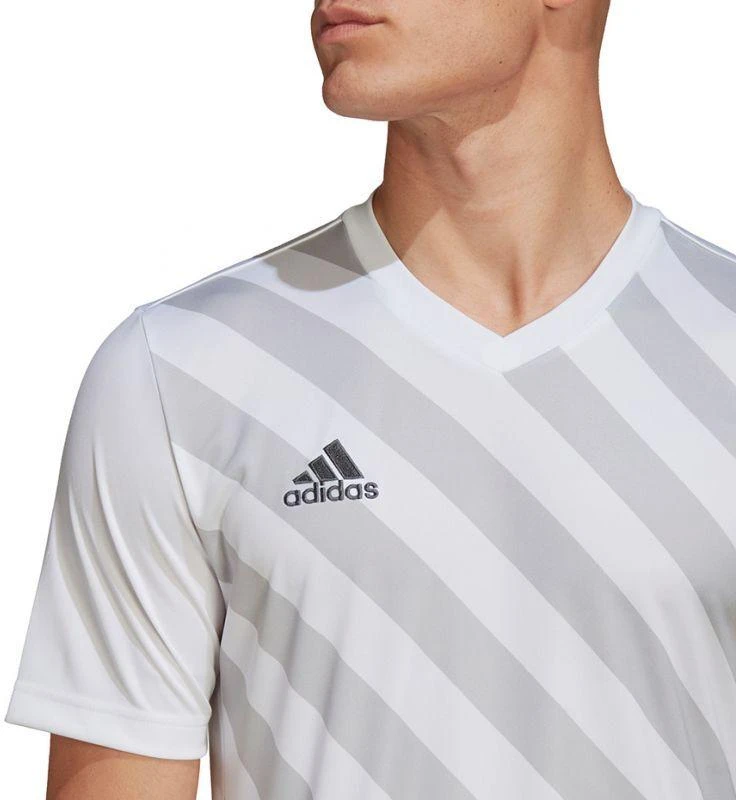 adidas Entrada 22 Grafinis Džersis M HF0129