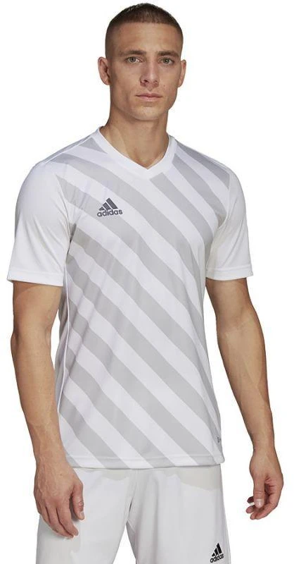adidas Entrada 22 Grafinis Džersis M HF0129