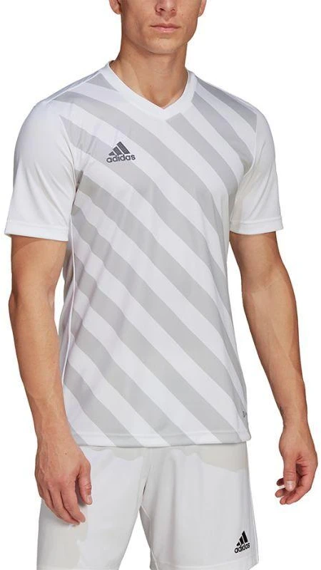 adidas Entrada 22 Grafinis Džersis M HF0129
