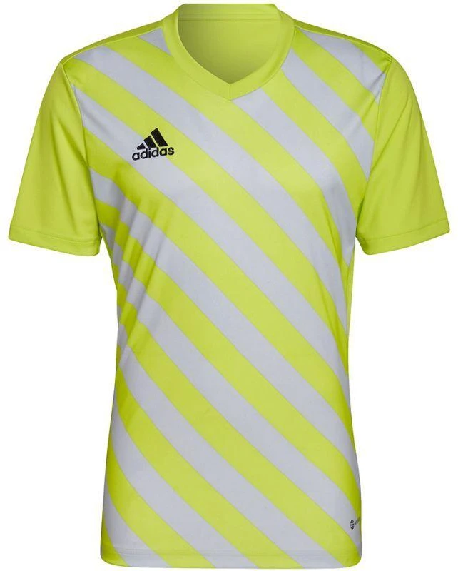 adidas Entrada 22 Grafinis marškinėliai M HF0118