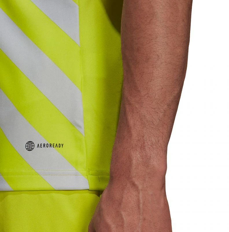 adidas Entrada 22 Grafinis marškinėliai M HF0118
