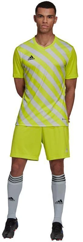 adidas Entrada 22 Grafinis marškinėliai M HF0118