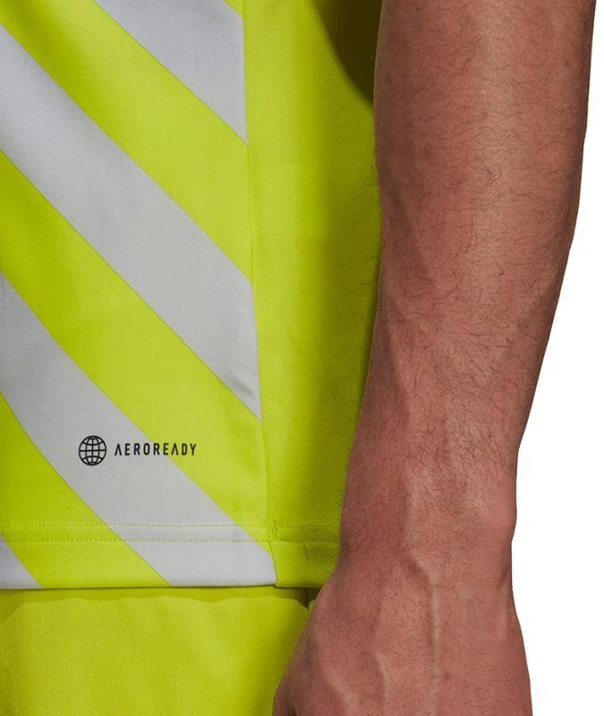 adidas Entrada 22 Grafinis marškinėliai M HF0118