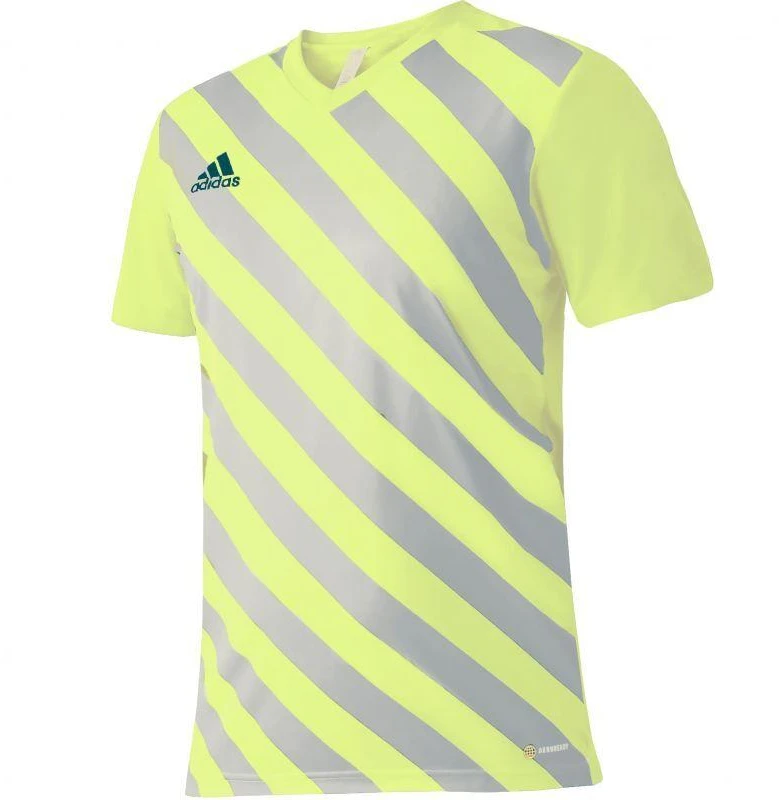 adidas Entrada 22 Grafinis marškinėliai M HF0118