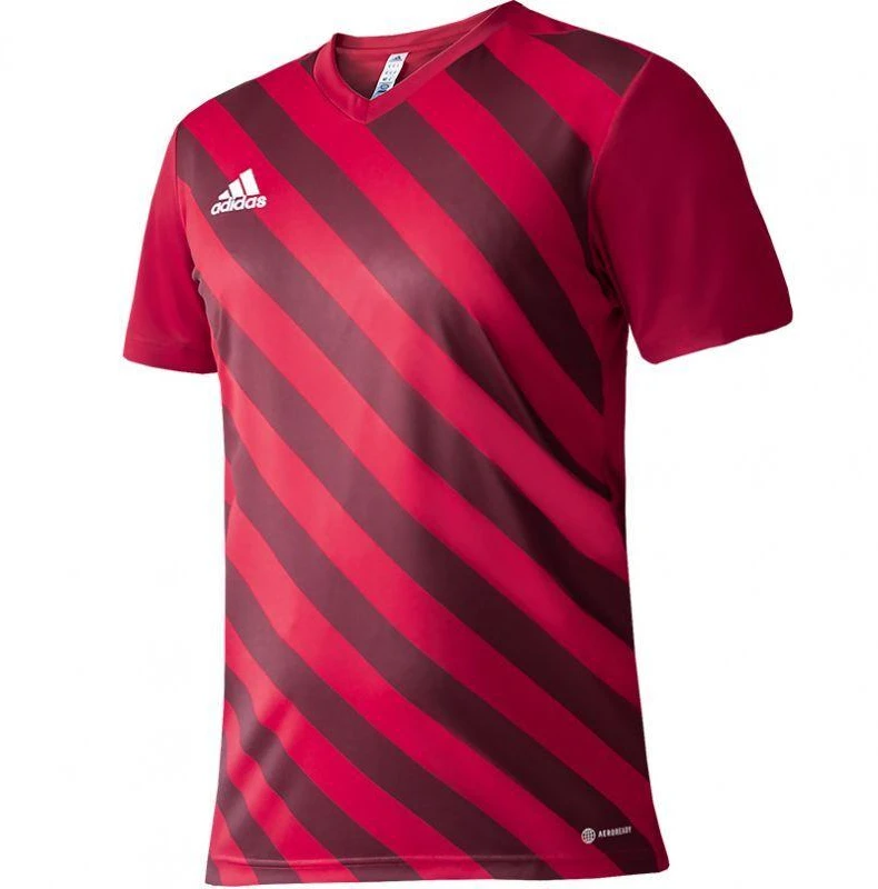 adidas Entrada 22 Grafinis Marškinėliai Jaunesniesiems H58983