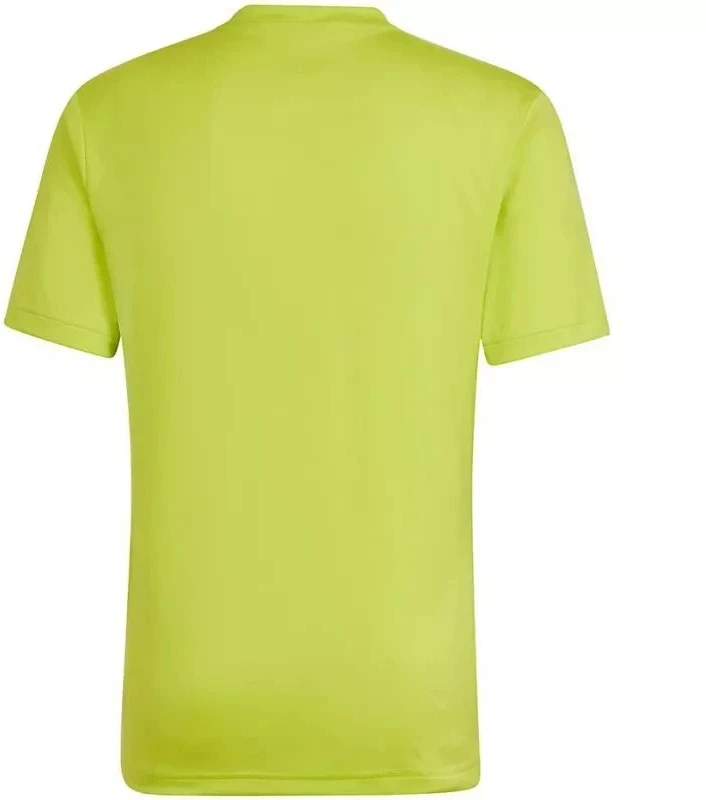 adidas Entrada 22 Grafinis marškinėliai M HF0118