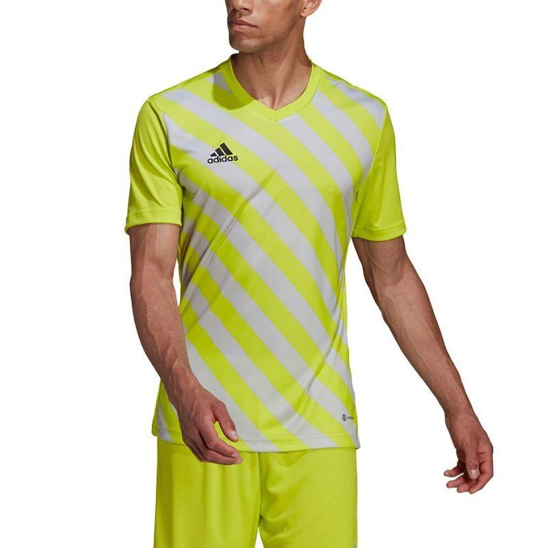 adidas Entrada 22 Grafinis marškinėliai M HF0118