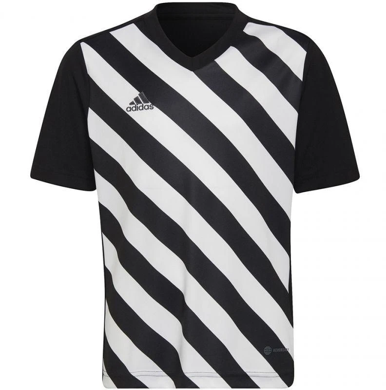 adidas Entrada 22 Graphic marškinėliai berniukams HF0123