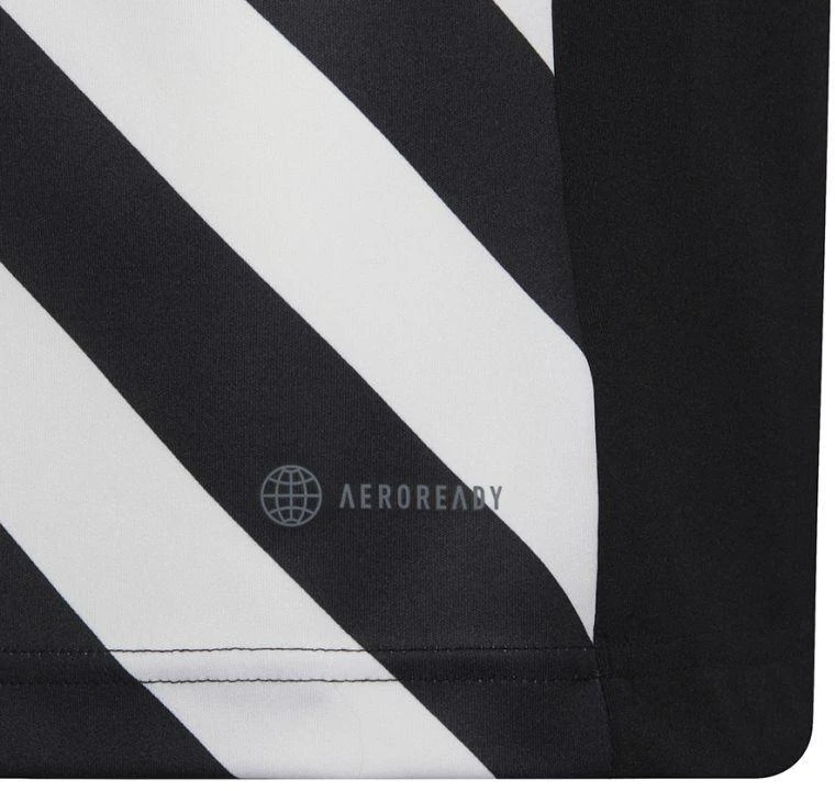 adidas Entrada 22 Graphic marškinėliai berniukams HF0123