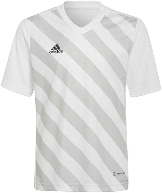 Adidas Entrada 22 Graphic marškinėliai Jr HF0120
