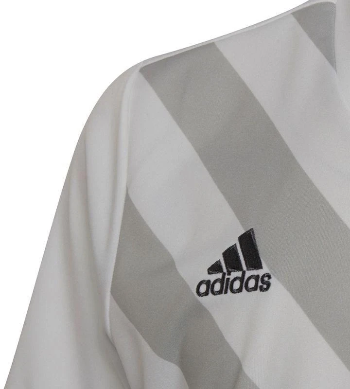 Adidas Entrada 22 Graphic marškinėliai Jr HF0120
