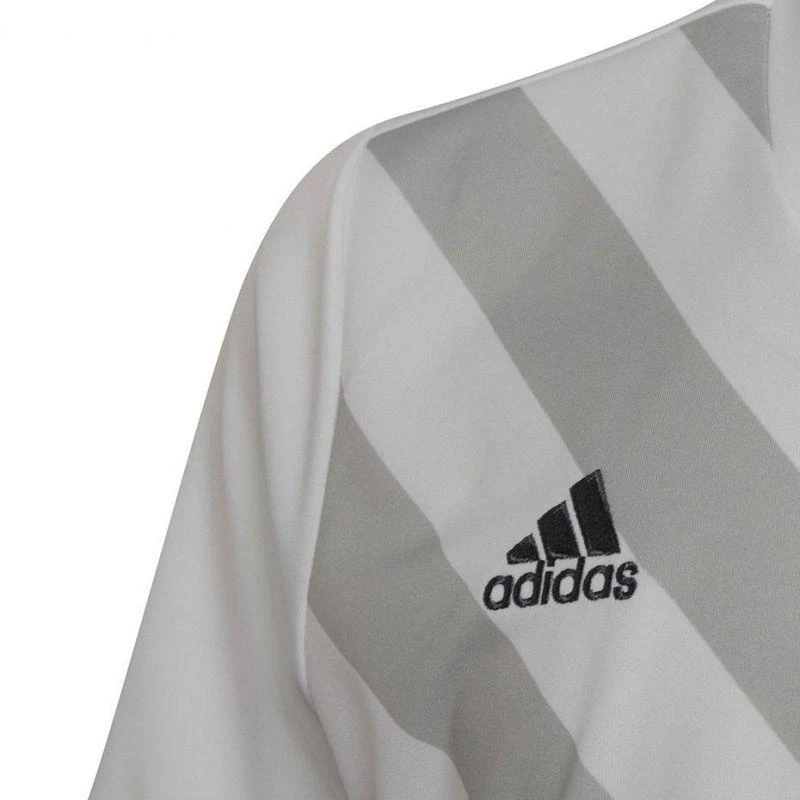 Adidas Entrada 22 Graphic marškinėliai Jr HF0120