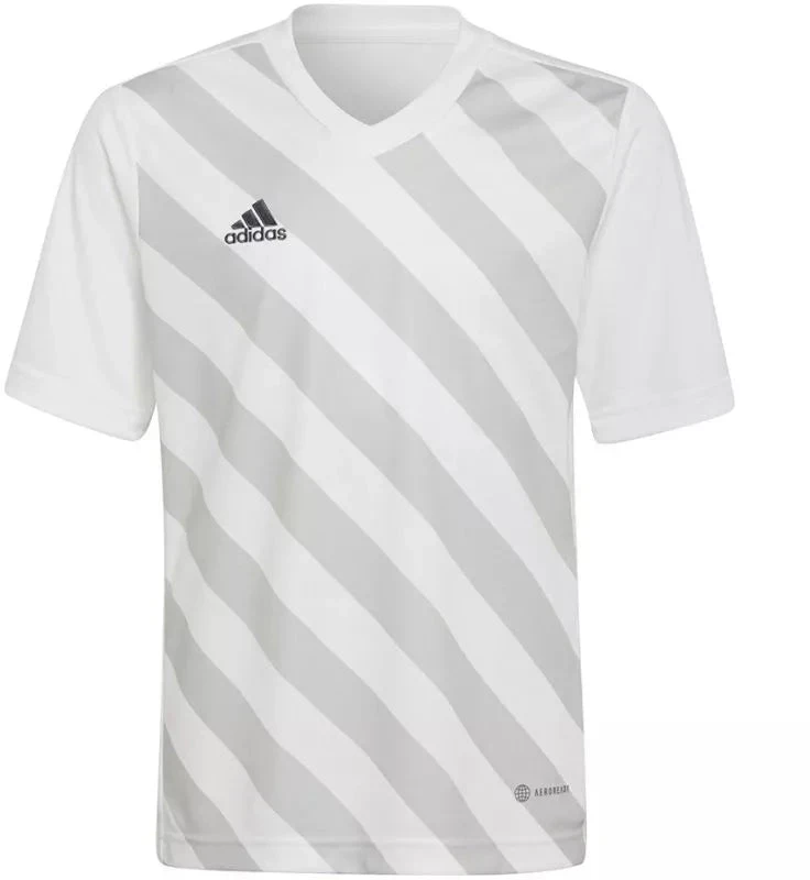 Adidas Entrada 22 Graphic marškinėliai Jr HF0120