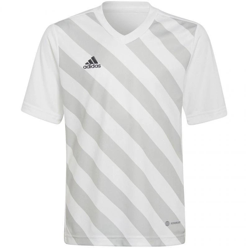 Adidas Entrada 22 Graphic marškinėliai Jr HF0120